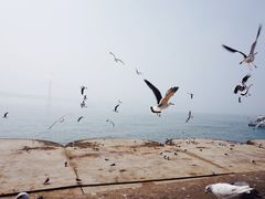 -星海广场