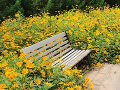 -永定河休闲森林公园