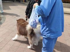 -宠颐生动物医院·小陆分院