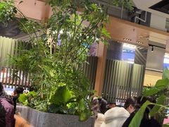 -gaga(深圳福田星河COCO Park店)
