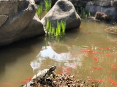 -聚缘堂·海鲜私房菜(松岭路店)