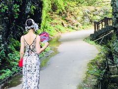 -夏霖九天银瀑风景区