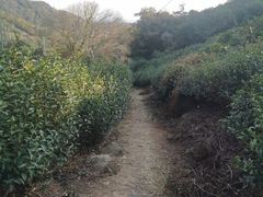-雨花胜境