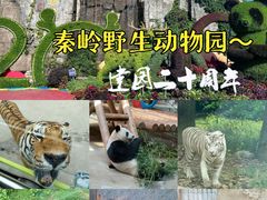 -西安博物院