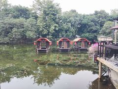 -侨美·唐荔园·40年地道粤菜