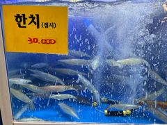 -西归浦每天偶来市场
