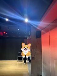 -wow舞蹈培训