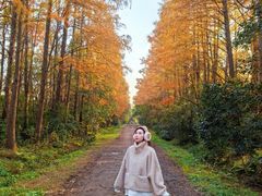 -上海海湾国家森林公园