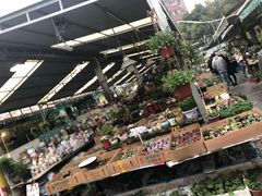 -曲阳花鸟市场(曲阳路店)
