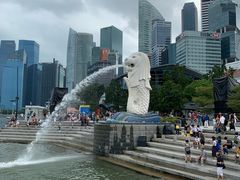 -新加坡瑞士史丹福酒店