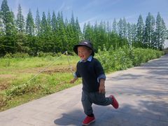 -上海长兴岛郊野公园