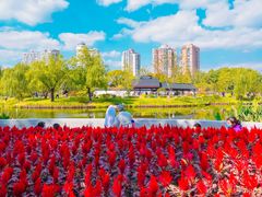 -和平公园