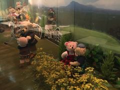 -济州岛泰迪熊博物馆