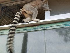 -泉州海丝野生动物世界