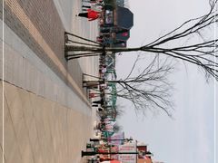 -荷兰花海