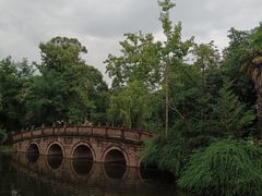 -桂湖森林公园
