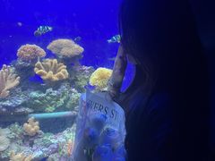 -江和美海洋公园