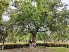 -沙河三洞古桥公园