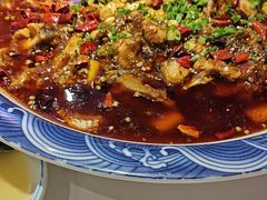 -新概念来凤鱼(璧山店)