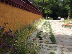 iphone_upload_pic-罗布林卡