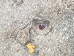 -天津盘山风景名胜区