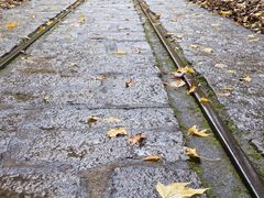 -五营红松林海景区