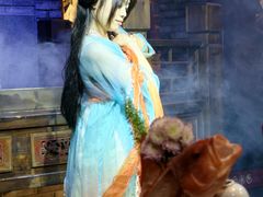 -红运火锅·中国名火锅·国风演绎(省体店)