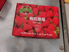 -大自然农场蔬菜草莓采摘园