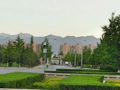 -西安外国语大学-学生食堂(栾树大道店)