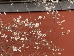 -钱王祠