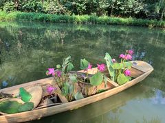 -同里国家湿地公园