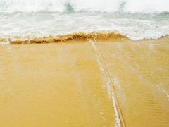 -西涌国际滨海旅游区