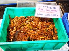 -荔城生鲜盛宴(番禺旗舰店)
