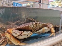 -双井轩(双井店)