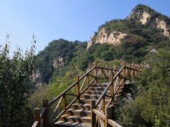 -大岭沟猕猴桃谷风景区
