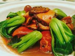 -新吉士·上海菜(浦东LCM置汇旭辉店)