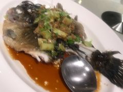 -东海海鲜酒家(中信广场店)
