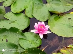 -白鹭湾湿地公园