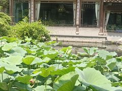 -乾园.魏庐湖景餐厅(花港店)