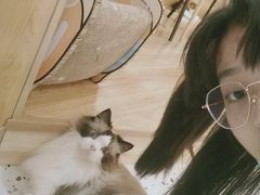 -滚猫咖啡·猫咖·猫友好撸猫(未来城店)