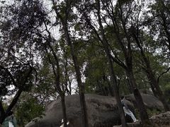 -火炉山森林公园