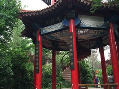 -滕州微山湖红荷湿地景区