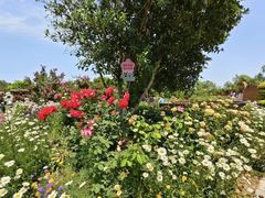 -祥源·阜阳生态乐园