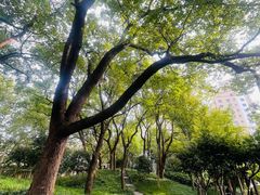 -徐家汇源景区-衡山公园