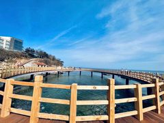 -养马岛旅游度假区
