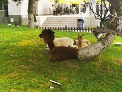 -东方时尚驾校摩托车考试场