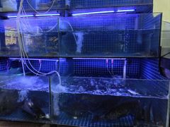 -芦茨金富饭庄·25年老字号·专做稻草鸡