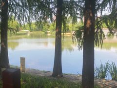 -芸山季·云南山珍菌火锅(南翔印象城MEGA店)