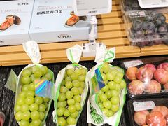 -超级物种·波龙工坊(国贸店)