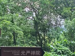 -凤栖山
